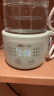 小熊（Bear）迷你养生壶养生杯 电炖杯电热杯煮花茶壶烧水壶办公室杯子0.4L全玻璃杯体YSH-F04E1 实拍图