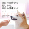 KONOKO宠物猫咪狗狗益生菌牙刷牙膏套装可食用口炎口臭牙结石口腔清洁 实拍图