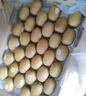 佳沛（zespri）新西兰 新果季 阳光金奇异果33粒原箱单果重约101-114g 猕猴桃 实拍图