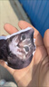 网红疯狂旋转猫集合蒜鸟钥匙扣Oi旋转猫挂件发声器钥匙扣搞笑猫 小猫钥匙扣挂件-旋转猫猫头 实拍图