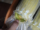 蔬农联 山东头茬羊角蜜瓜 羊角蜜 香瓜甜瓜 当季新鲜水果应季时令果蔬 精选5斤装（净重4.5斤） 实拍图