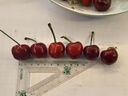 现货智利进口车厘子新鲜樱桃当季高端特大智利车厘子整箱孕妇礼盒 1500g(净重) 中大果 XL24-26mm 实拍图