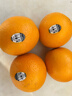 美国进口新奇士3107黑标脐橙Sunkist进口橙子甜橙单果170-210克 10个大果 实拍图