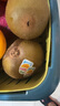 佳沛（zespri）新西兰  阳光金奇异果巨大果22粒原箱 单果重约144-175g 猕猴桃 实拍图