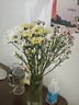 【七彩小雏菊】鲜切花混搭混色多头鲜花插瓶水养花期长七夕礼物 随机混色小雏菊50CM5枝 实拍图