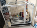 獒少保狗笼方管狗笼子大中小型犬金毛加粗宠物狗狗笼子狗屋用品 白色带天窗78*54*73cm 建议30内中小型犬 实拍图