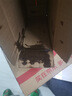 斧头牌（AXE）柠檬鸭屎香果蔬餐具净洗洁精1.01kg泵6大零添加4倍去农残小苏打 实拍图