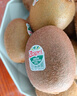 佳沛（zespri）新西兰 阳光金奇异果12粒礼盒特大果单果约122-146g 猕猴桃 水果 实拍图
