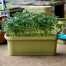 爱丽思种菜盆花箱阳台室外果蔬种植盆长方形菜盆爱丽丝种植盆700 浅绿色 实拍图