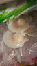富海锦鲜汁半壳虾夷扇贝540g 6只无沙 火锅烧烤食材 海鲜水产贝类 实拍图