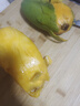 粤迎金煌芒芒果当季青皮黄皮大芒果新鲜水果甜心芒果广西整箱盒送礼 5斤精选果【香甜爆汁】净4.5斤 实拍图