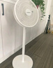 长虹（CHANGHONG）电风扇/落地扇家用/交流定频风扇/台地两用扇/桌面风扇/台扇摇头电扇空气循环风扇 CFS-LD2507 实拍图