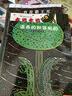 宫西达也恐龙系列宫西达也绘本 7册套装 你看起来好像很好吃 永远永远爱你 我是霸王龙  最爱的是你 蒲蒲兰绘本 3-6岁 实拍图
