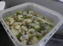 盛源来 芥末章鱼200g 即食海鲜日料 小八爪鱼腿足爪须脚 寿司方便菜 实拍图