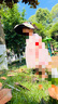 蕉下儿童防晒帽遮阳帽太阳帽子男女童空顶帽BM500贝壳帽蜜瓜派对 实拍图