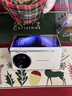 乐比亿vivo x fold5手机壳新款vivox fold5折叠屏镜头支架高端真皮保护套xfold5铰链全包防摔商务男外壳 高清款【青松】头层牛皮*铰链全包 vivo x fold5 晒单实拍图