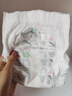 好奇（Huggies）小森林试用装尿不湿心钻装拉拉裤XL4片(12-17kg) 实拍图
