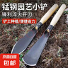 户外工具挖野菜小铲子挖荠菜挖蒜铲子挖菜园艺种花工挖土拔草神器 【木柄平铲】2个装 实拍图