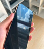图拉斯【3D热弯+超薄不断触】适用苹果14Pro钢化膜iPhone14pro手机膜原感全屏覆盖防尘无尘仓高清膜 实拍图