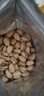Wonderful万多福开心果 经典盐焗味668g量贩装 实拍图