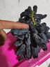 芬岚【顺丰隔日达】新鲜手指葡萄正宗蓝宝石美人无籽黑河北葡萄 净重3斤+防震葡萄袋 老农精选-顺丰配送上门 实拍图