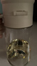 小熊（Bear）油壶 玻璃瓶调料瓶酱油瓶厨房油罐壶660ml自动开合不挂油CX-JW021 实拍图