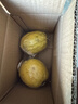 广东香水黄柠檬包邮新鲜水果柠檬精选皮薄奶茶店专用整箱 现货 柠檬两粒单果50g+ 实拍图