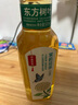 农夫山泉 东方树叶红茶500ml*15瓶无糖茶饮料0糖0脂0卡整箱装夏天解渴饮品 实拍图