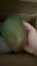 京鲜生 攀枝花凯特芒果 净重8.5斤 单果600g+ 生鲜水果源头直发 实拍图