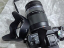 奥林巴斯（OLYMPUS）E-M10 MarkIV EM10四代 微单相机 数码相机 微单套机（14-150mm F4.0-5.6 II）黑色 实拍图