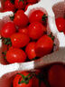 新鲜千禧圣女果小番茄现摘现发多汁水果适合孕妇食用 2斤 实拍图