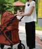 法米多【官方豪礼】Q1童车婴儿推车家用欧式大座舱 深灰色 实拍图