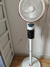 志高（CHIGO）空气循环扇电风扇【免联网语音】落地扇3D自动摇头遥控家用大风力轻音台地两用 氛围灯【加高加大-净化除醛-香薰盒】 实拍图