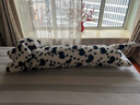 野兽派家居（tbh）懒蓝猫长条抱枕 枕头靠垫家用客厅沙发腰枕床头靠枕礼物 斑点狗条形抱枕25X115cm 0cm*0cm 含枕芯 实拍图