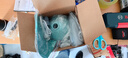 安赛瑞 电动喷壶 园艺手持式浇花喷壶自动高压消毒喷雾器 1L蓝色5J01056 实拍图