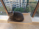 憨憨乐园猫吊床猫咪吊床玻璃吸盘式猫架阳台吊篮悬挂宠物猫窝窗户吊床用品 实拍图