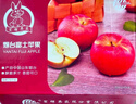 京鲜生 山东栖霞红富士苹果精品12粒 单果190g-240g  生鲜水果 礼盒 实拍图