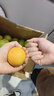 京喜加伦晚夏橙脐橙手剥橙 带箱9斤小果60-65mm 实拍图
