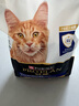 冠能猫粮7岁以上老年猫猫粮2.5kg 全价猫粮 延长健康生活时间 实拍图