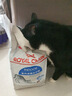 皇家室内成猫粮 I27 通用粮 12月以上 2KG 实拍图