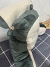 京严靠枕靠垫床头床上靠背垫软包床头靠抱枕宿舍靠枕沙发床靠垫 哈士奇【可拆卸靠背垫+枕头】 含枕芯 大号【超软靠背+冰丝乳胶】 实拍图