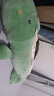 张晟凯玩具恐龙毛绒玩具长条睡觉夹腿抱枕男生款床上大号玩偶睡觉抱公仔娃娃 绿色 1.5米 实拍图