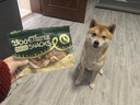 HELLOJOY狗狗零食磨牙肉干天然软骨洁齿中小型幼犬补钙 鸡肉兔耳朵60g 实拍图