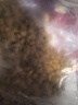 皇家狗粮 雪纳瑞幼犬狗粮 犬粮 宠物小型犬 SNJ30全价犬粮2-10月1.5KG 实拍图