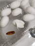 墨斗鱼加厚加仑花盆底座托盘塑料耐磨圆形接水盘底托托盘18cm 5个装6687 实拍图