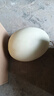 玉菇甜瓜冰淇淋现摘正宗新鲜水果整箱当季水果香瓜冰淇淋 【超值装】 3斤(净重2.7斤) 晒单实拍图