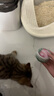 网易严选猫湿粮宠物零食浓汤大口肉罐头 鸡肉+三文鱼85g*6罐 实拍图