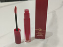 XZP正品大牌阿尼红唇釉口红女中小样不掉色不沾杯滋润哑光平价学生款 红管唇釉(405#丝绒番茄红) 实拍图