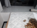 穗宝（SYMBOL） 弹簧床垫席梦思床垫1.8x2米软硬适中家用透气床垫子 贝妃 贝妃【基础偏硬/0胶】20cm 1.2米*1.9米 实拍图