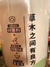 草木方花草茶 小叶苦丁茶250g 特级2025新茶嫩芽四川峨眉山头采明前茶叶 实拍图